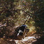 Ty Segall - Possession (Vinyl)