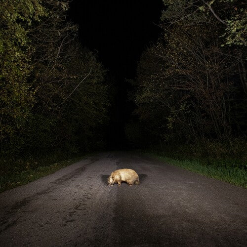 Stonks - Badger (CD)