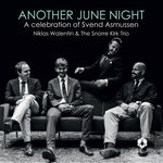 Niklas Walentin - Another June Night (Vinyl)