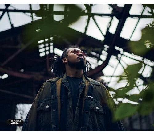 Invisible Diary (Vinyl)