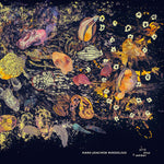 Hans-Joachim Roedelius - Pink Blue & Amber (CD)