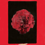 Activity - A Thousand Years in Another Way (Vinyl)