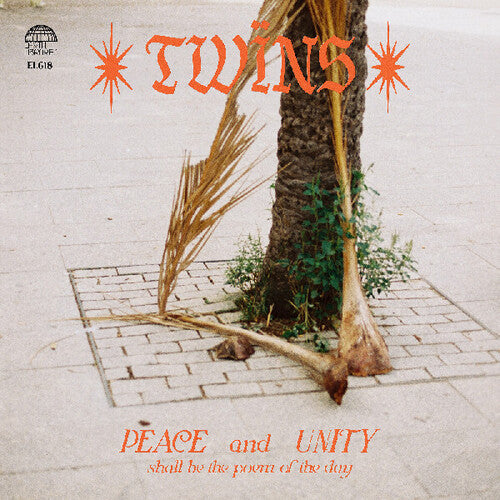 The Twins - Healing Dreams (Vinyl)