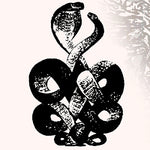 Bardo Pond - Volume 4 & 5 (Vinyl)