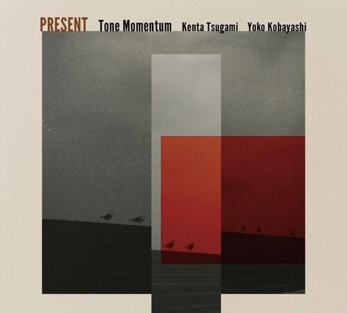 Tone Momentum - Present (CD)