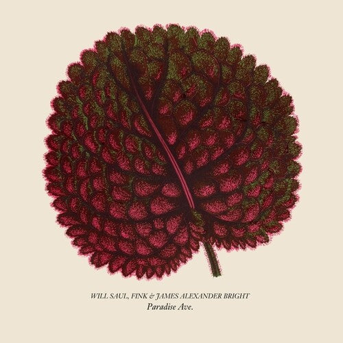 Paradise Ave (Vinyl)