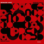Reinhard Voigt - Robson Ponte Remixe 2025 (Vinyl)