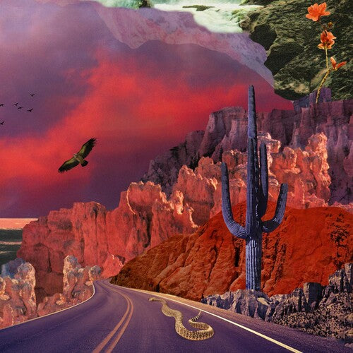 Turkuaz - APOLLYON (Vinyl)