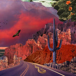 Turkuaz - APOLLYON (Vinyl)