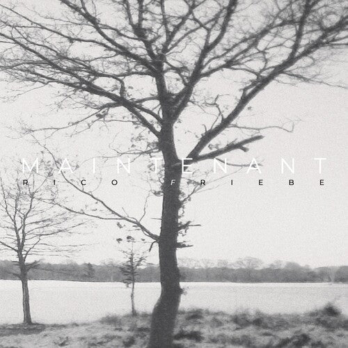 Rico Friebe - Maintenant - Limited Digipak (CD)