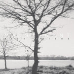 Rico Friebe - Maintenant - Limited Digipak (CD)