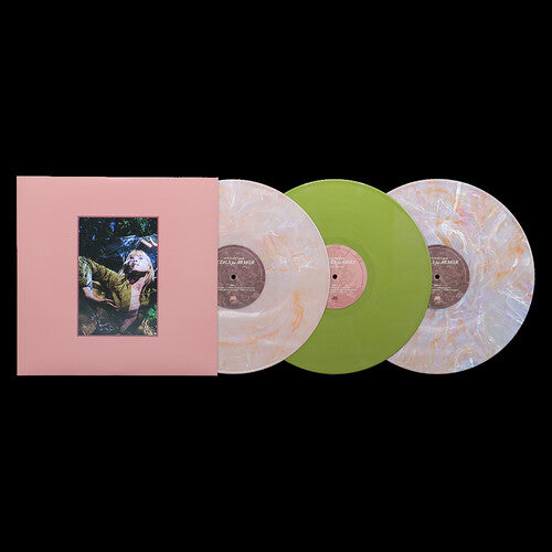 Hayley Williams - FLOWERS for VASES + Petals for Armor (Vinyl)