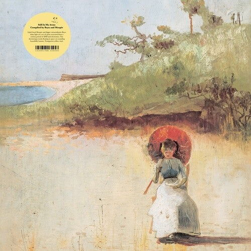 Various Artists - Still In My Arms: Compiled by Bayu And Moopie 2025 (Vinyl)