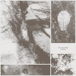 Park Jiha - All Living Things (Vinyl)