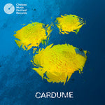 Cardume - Cardume (CD)