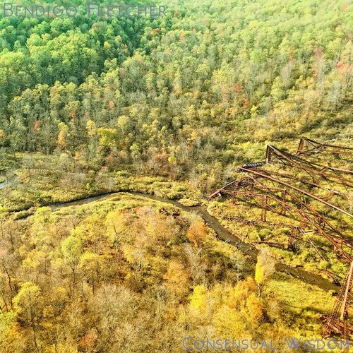 Bendigo Fletcher - Consensual Wisdom - Beige (Vinyl)