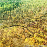 Bendigo Fletcher - Consensual Wisdom - Beige (Vinyl)