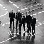 Deep Purple - The Now What?! (Vinyl)