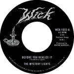 The Mystery Lights - Before You Realize It / Cerebral Crack (Vinyl)