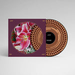 Richard Hawley - Coles Corner: 20th Anniversary - Half-Speed Mastered Zoetrope Picture Diss (Vinyl)