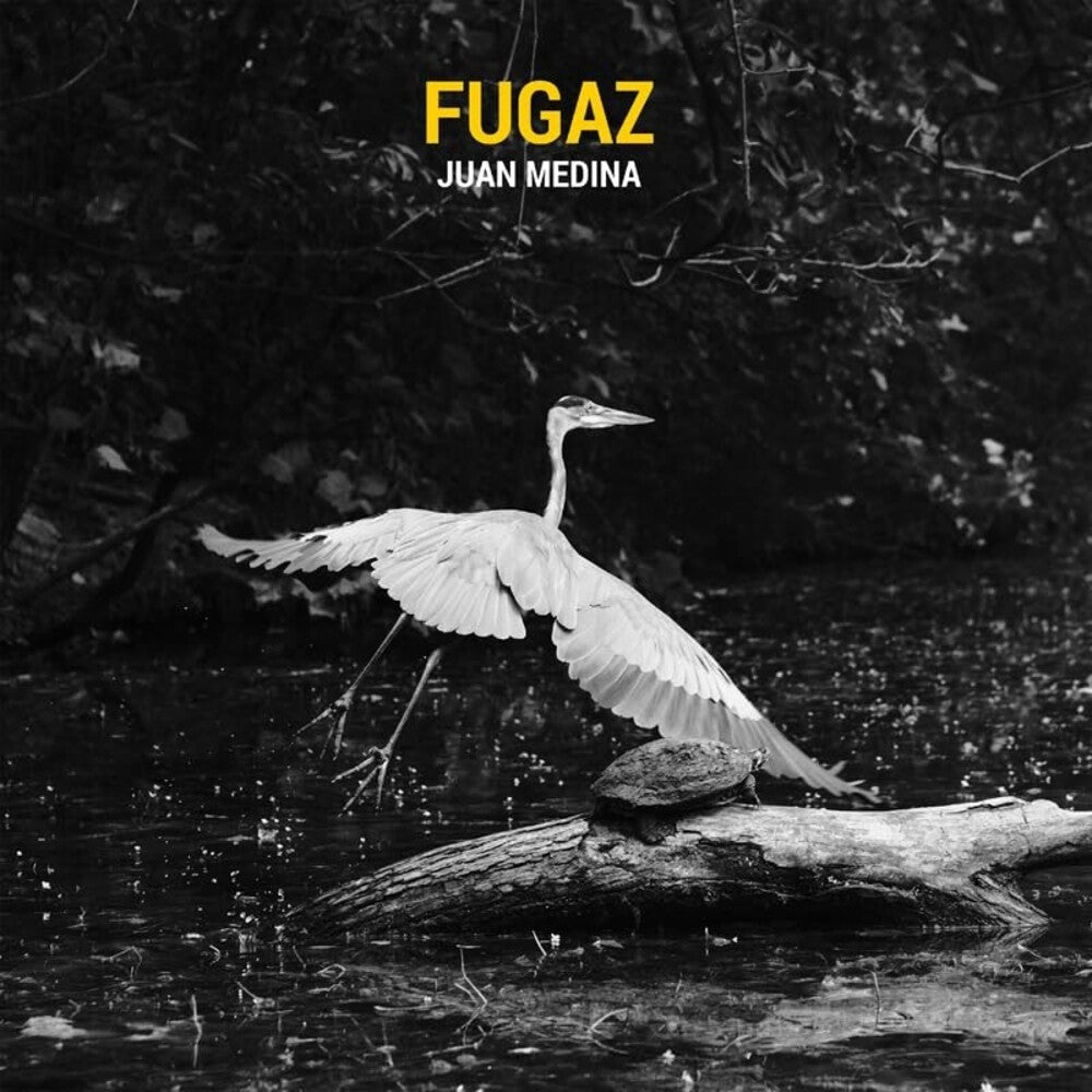 the album cover for Juan Medina - Fugaz (Spa)