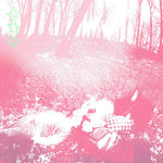 Shower Curtain - words from a wishing well (Vinyl)