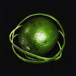 Big Thief - Double Infinity (CD)