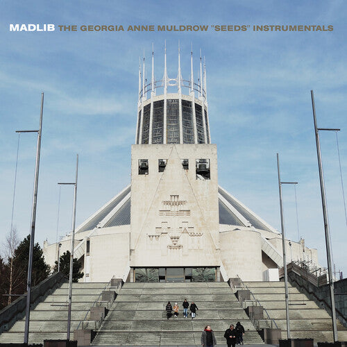 Madlib - Seeds (Instrumentals) (Vinyl)