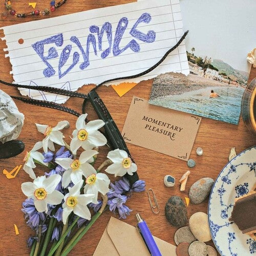 Fennec - Momentary Pleasure (Vinyl)