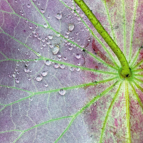 Peter Chilvers - Dust 2 (Vinyl)