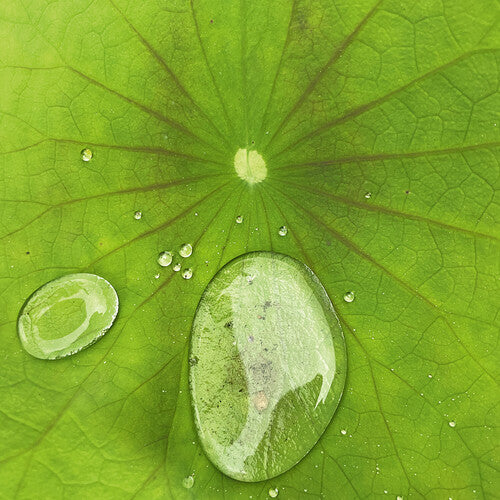 Peter Chilvers - Dust 3 (Vinyl)