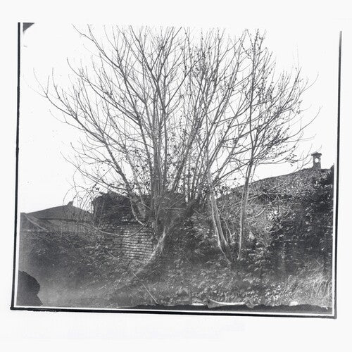 Siavash Amini - Caligo (CD)