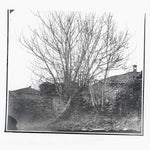 Siavash Amini - Caligo (CD)