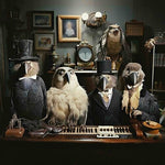 Wevie Stonder - Sure Beats Living (Vinyl)