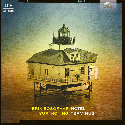 Erik Bosgraaf - Hotel Teminus (Vinyl)