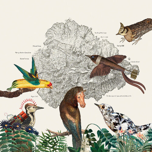 Friendly Rich - The Birds of Marsville (Vinyl)