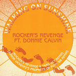 Donnie ) Rocker's Revenge ( Calvin - Walking On Sunshine (Vinyl)