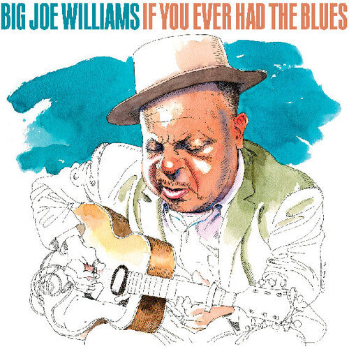 Big Joe Williams - If You Ever Had The Blues (CD)