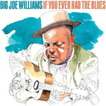 Big Joe Williams - If You Ever Had The Blues (CD)