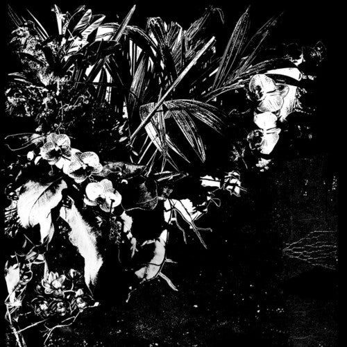 Jef Mertens - Orchid Alto (Vinyl)