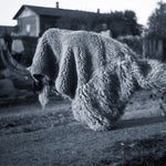 Random Gods - Pneuma (Vinyl)