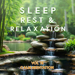 Various Artists - Sleep Rest And Relaxation Vol.15: Calm Meditation (Various Artists) (CD)