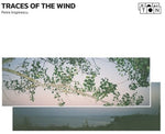 Petre Inspirescu - Traces Of The Wind (Vinyl)