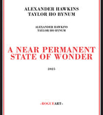 Near Permanent State Of Wonder (CD)