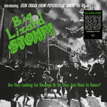Big Lizard Stomp (TTrash From Psychedelic Tokyo '66-'69) (Vinyl)