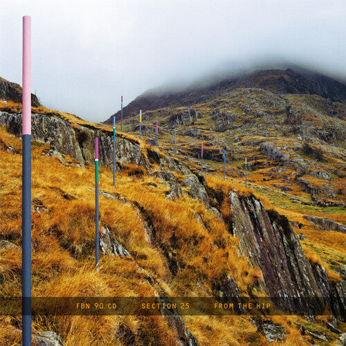 Section 25 - From The Hip (CD)