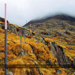 Section 25 - From The Hip (CD)