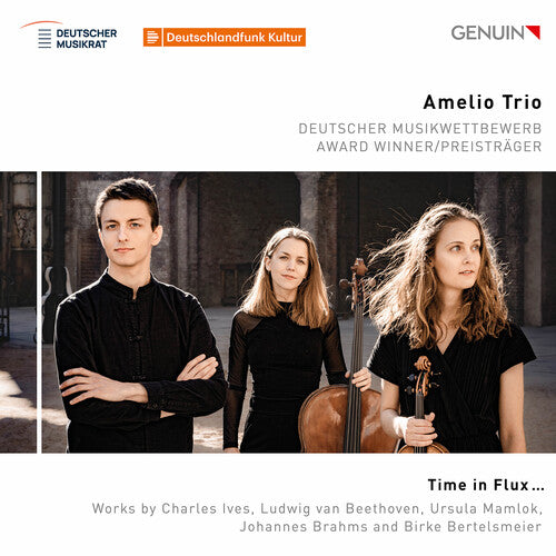 Amelio Trio - Time in Flux… (CD)