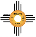 Large Professor - In The Sun (Vinyl)