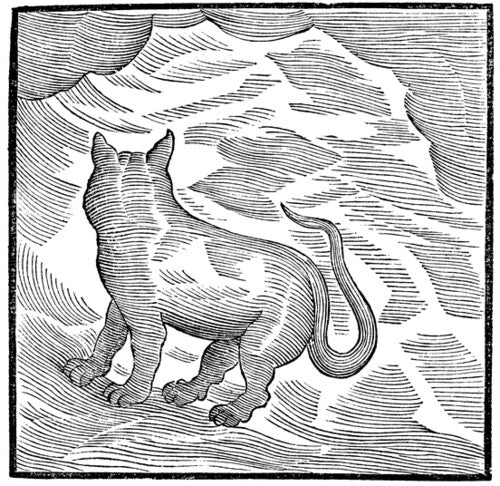 Kansai Bruises (Vinyl)